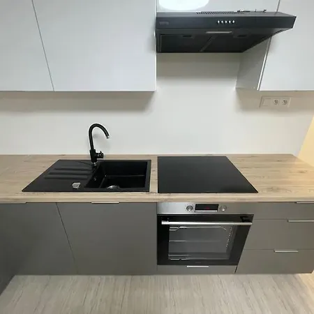公寓 Big 3-bedroom 78m² 布拉迪斯拉发
